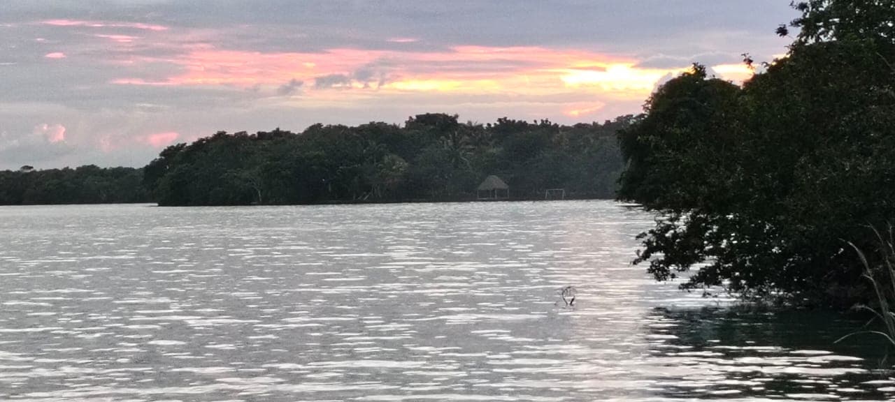 Parcela #104 | Un Terreno en el corazón del Sur de Quintana Roo — Parque Industrial